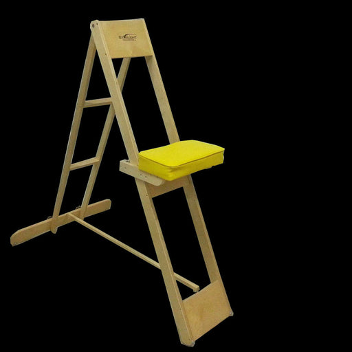 Starlight Innovation Star-Chair IV (SC-IV) Starlight Innovation