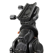 Celestron CGX-L Mount With 11" EdgeHD (12076) - Astronomy Plus