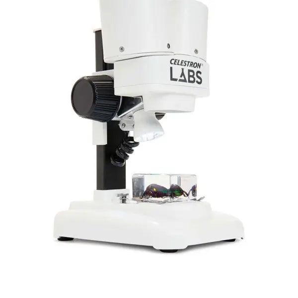 Celestron Labs S20 Stereo Microscope (44207) - Astronomy Plus