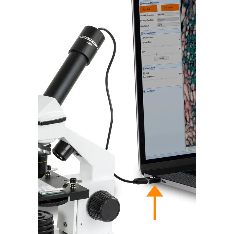Celestron USB-C to USB-A converter 2-Pack (44426) - Astronomy Plus