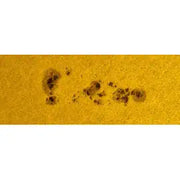 Thousand Oaks Threaded Camera Filters - Astronomy Plus
