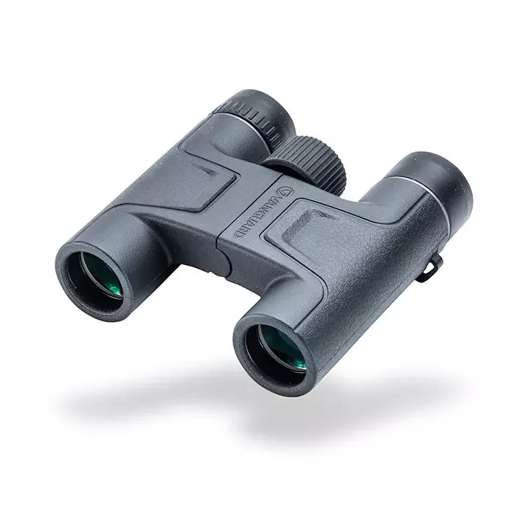 Vanguard VESTA 10X25 WATERPROOF/FOGPROOF BINOCULAR (VES-1025) - Astronomy Plus